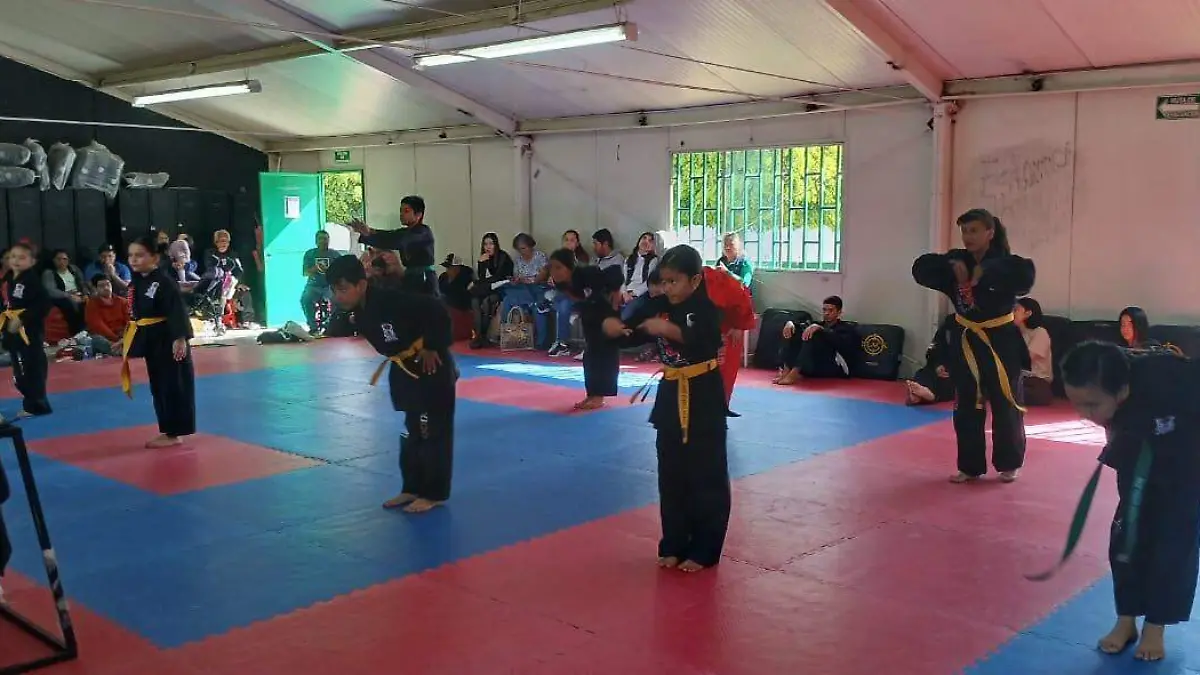 Cortesia Instituto Mexicano de Kempo (4)